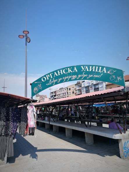 Reisebericht Serbien Citytrip Stadtreise Novi Sad europäische Kulturhauptstadt visit serbia farmers market